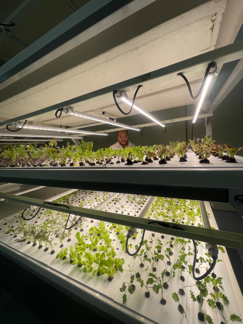 Imagen de galeria 16